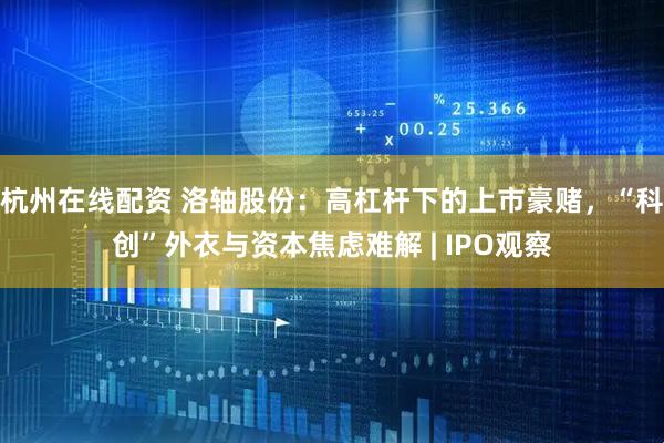 杭州在线配资 洛轴股份：高杠杆下的上市豪赌，“科创”外衣与资本焦虑难解 | IPO观察