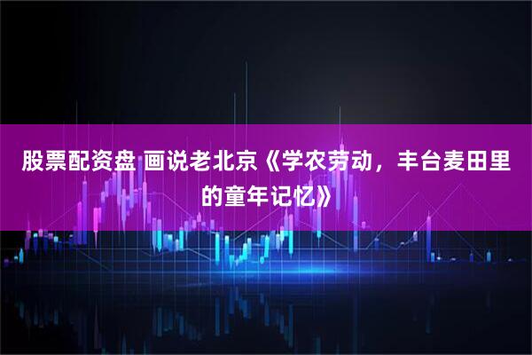 股票配资盘 画说老北京《学农劳动，丰台麦田里的童年记忆》
